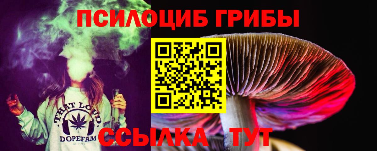 хочу наркоту  Галлюциногенные грибы Cubensis  Вход с VPN  Галлюциногенные грибы мухоморы  Волоколамск 